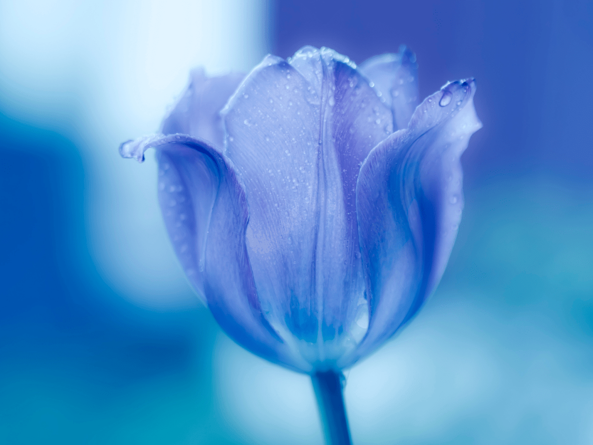 JUMP IN…Your Life Is About To Happen on a scale you can’t even&nbsp;imagine…!